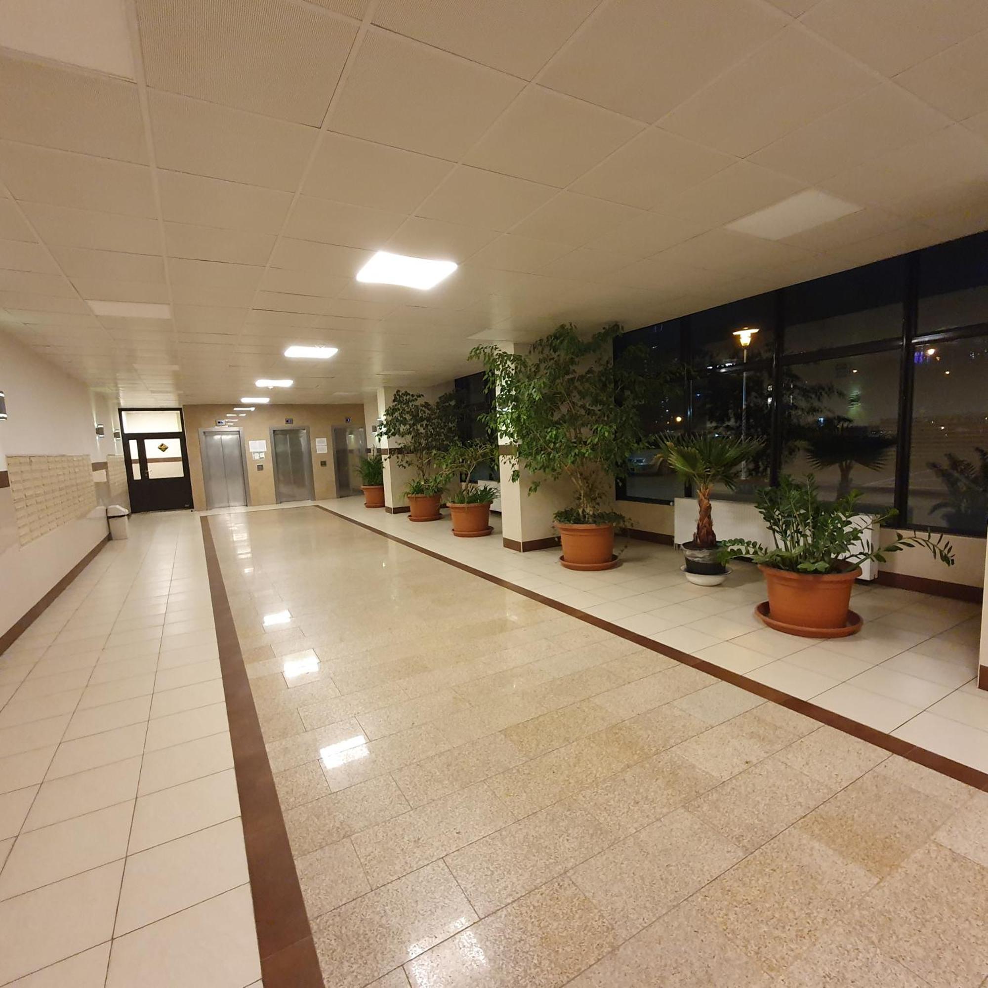 Park Saski Przechodnia Varsovia Exterior foto